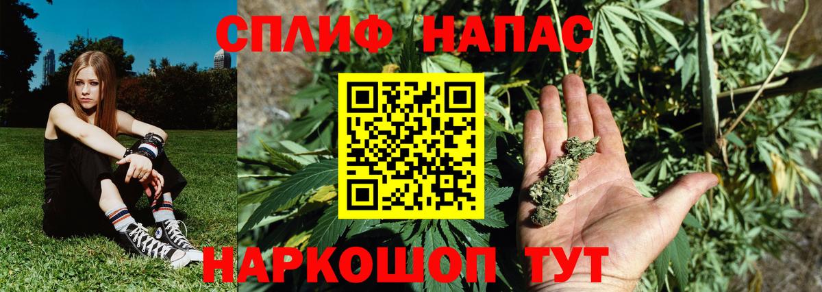Гай  Каннабис планчик  Бошки Шишки VHQ  Вход с VPN 